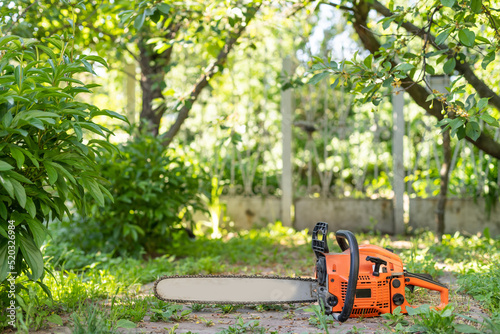 Wallpaper Mural Chainsaw that stands on a heap of firewood in the yard on a beautiful background of green grass and forest. Torontodigital.ca