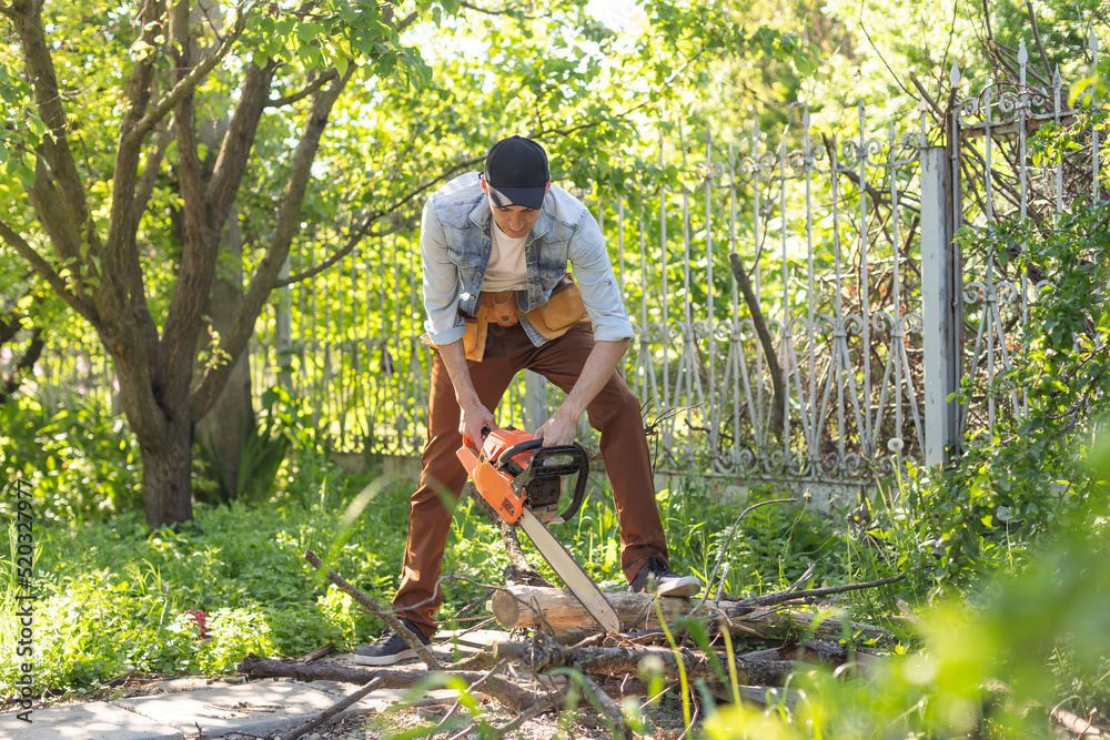 a man with a chainsaw. removes plantings in the garden from old trees, harvests firewood.