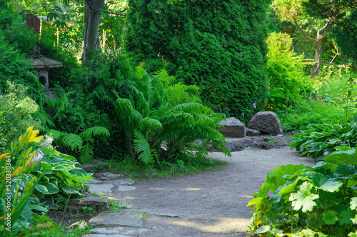 Beautiful plants  trees and herbs and a path in a public botanical garden