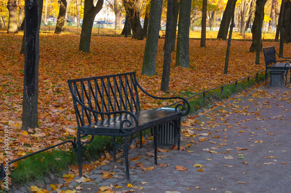 Beautiful metal wooden outdoor bench close-up in the park against the background of autumn bright trees