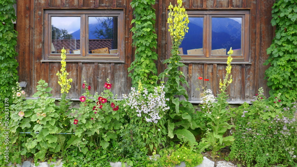 blumenverzierte Wand einer Scheune mit Fenstern und vielen grünen Pflanzen blumenverzierte Wand einer Scheune mit Fenstern und vielen grünen Pflanzen