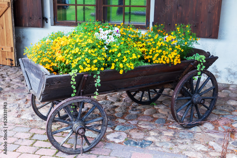 old horse wooden cart with colorful flowers on stone pavement and house windows background