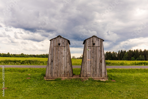 two twin wooden houses on green green grass and dark cloudy sky photo