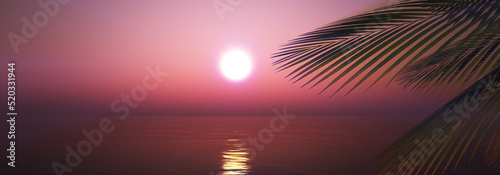 sunset sea palm landscape illustration © aleksandar nakovski