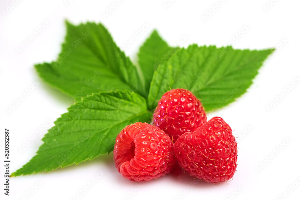 Isolated berries. Pile of raspberry fruits with leaves isolated on white background Isolated berries. Pile of raspberry fruits with leaves isolated on white background