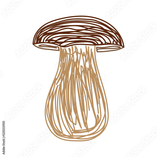 Mushroom. Boletus edulis. Hand drawn vector illustration. Pen or marker doodle sketch