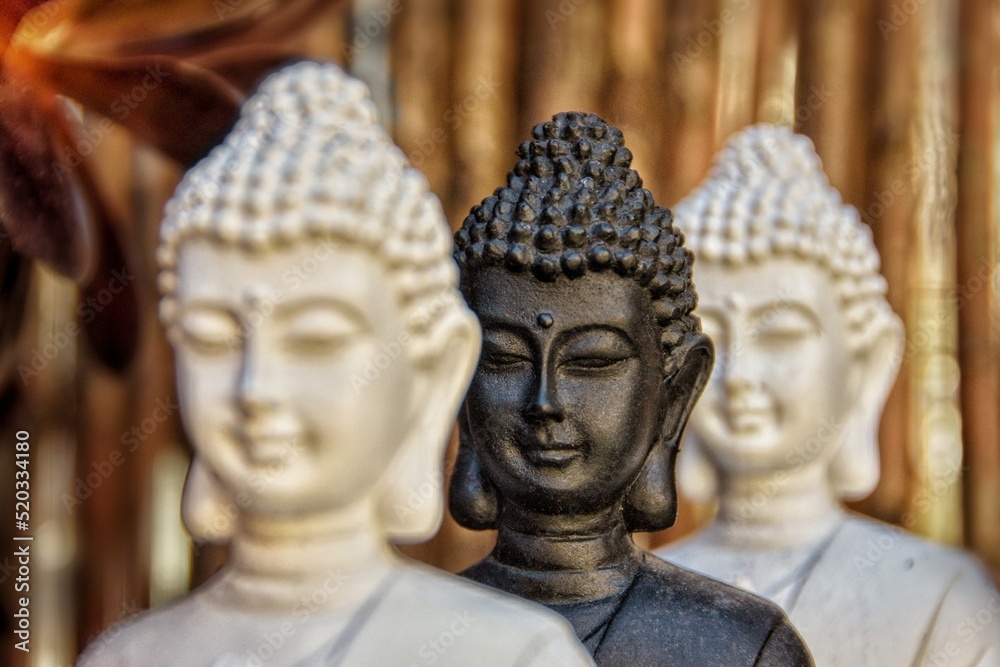Hilera de tres bustos de Buda joven en un jardín. El foco se centra en del centro que es de color negro, a diferencia de los otros dos, que son de color blanco.