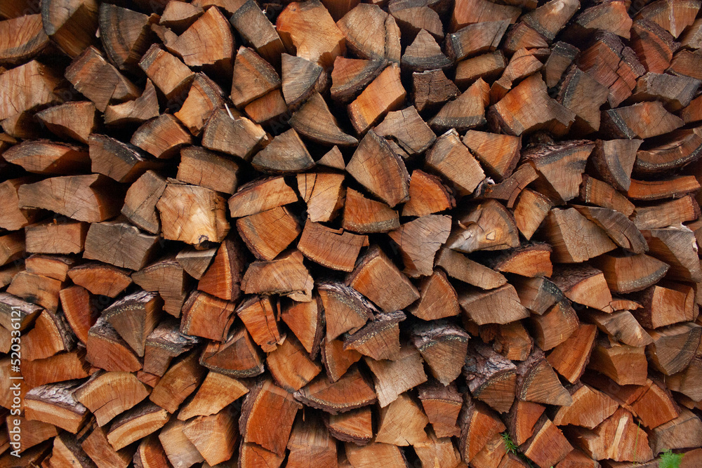 A pile of stacked firewood, prepared for heating the house. Gathering fire wood for winter or bonfire. Man holds fire wood in hand A pile of stacked firewood, prepared for heating the house. Gathering fire wood for winter or bonfire. Man holds fire wood in hand