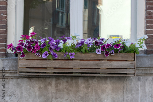 Flower Box At A Window At Amsterdam The Netherlands 23-6-2022 © Robertvt