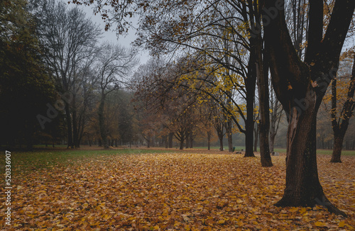 A warm autumn day in the park.  Colorful landscape photo. Trebisov, Slovakia
