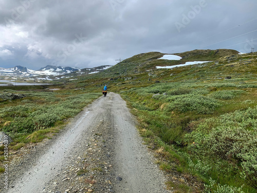 Rallarvegen biking road in Norway by summer 6 photo