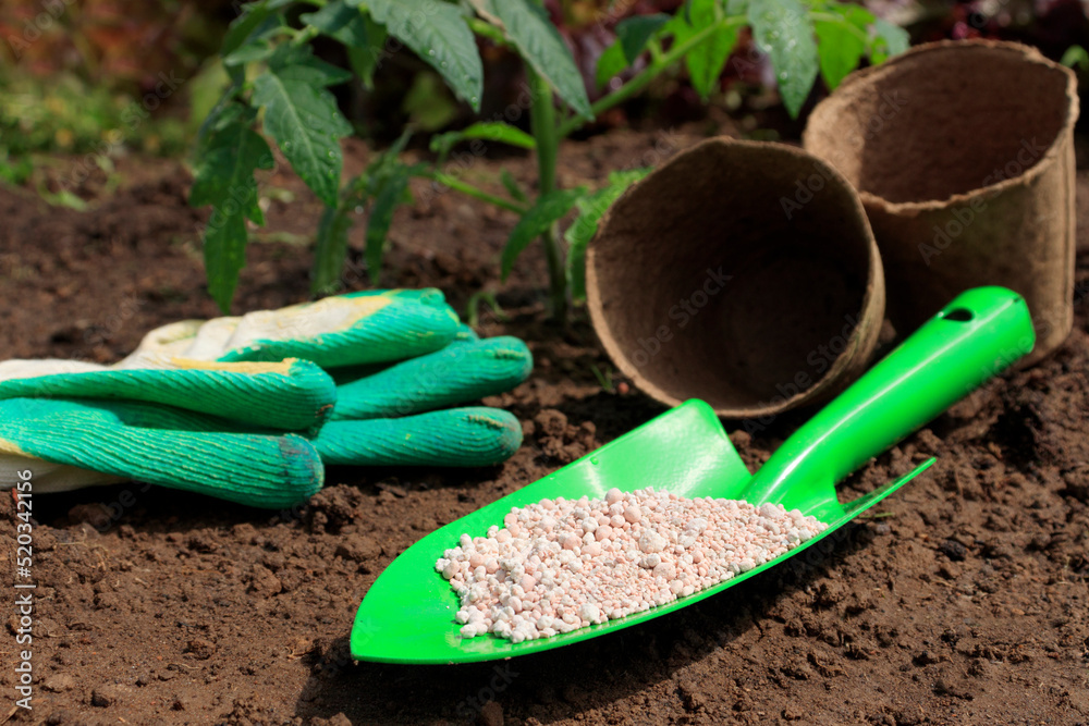 Works in the garden. Granular fertilizer, gloves and garden tools on the ground before planting plants by the gardener Works in the garden. Granular fertilizer, gloves and garden tools on the ground before planting plants by the gardener
