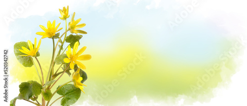 Fototapeta Naklejka Na Ścianę i Meble -  Bouquet of yellow daisy-gerbera or sunflower on watercolor background. Red chamomile horizontal banner with copy space. Spring or summer blossom blooming. Field flower Jerusalem artichoke. Empty place
