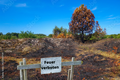 Feuer verboten Abgebrannte Landschaft