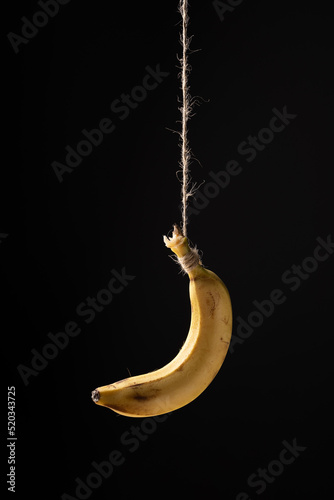 Banana hanging on a rope on a black background