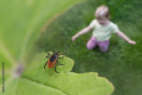 Castor bean tick over child playing in green grass. Ixodes ricinus. Closeup of parasitic mite hidden on nature leaf near blur small girl sitting on meadow or garden. Encephalitis or Lyme disease risk. photo