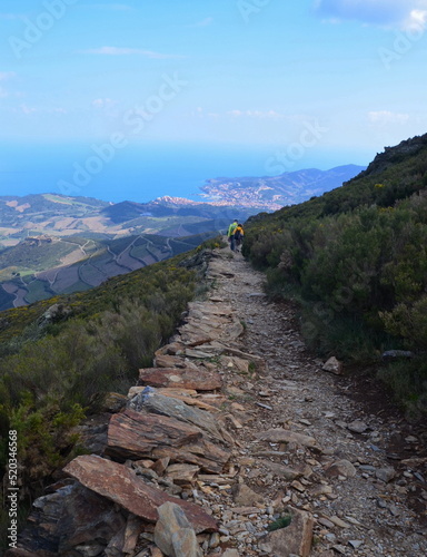 Chemin de randonnée à la Tour de la Massane dans les Pyrénées Orientales