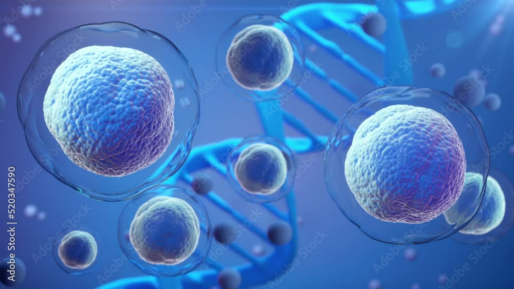 3D Animation of Human cell or Embryonic stem cell microscope background. 3D Animation of Human cell or Embryonic stem cell microscope background.