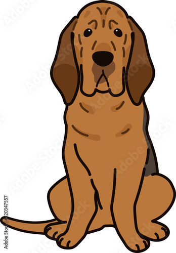 Simple and adorable Bloodhound dog illustration Sitting in front view