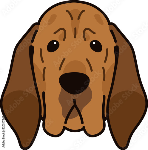 Simple and adorable Bloodhound dog illustration front head