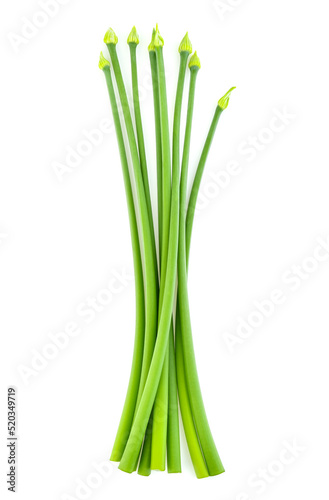 Chives flower isolated on white background. top view