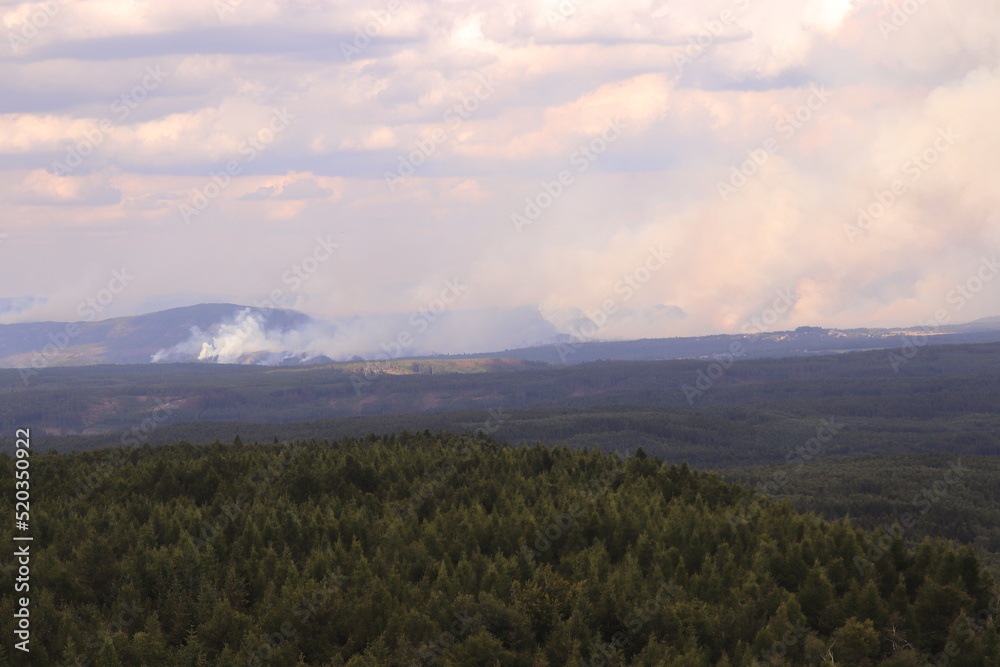 A large forest fire and smoke above the czech national park Bohemian Switzerland