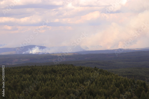 A large forest fire and smoke above the czech national park Bohemian Switzerland