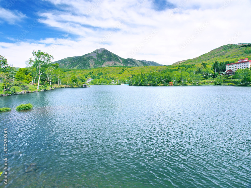 新緑の山と湖(長野県 蓼科山と白樺湖)