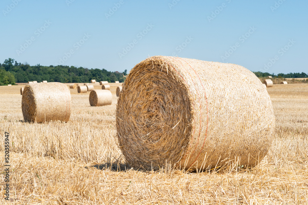 straw bales