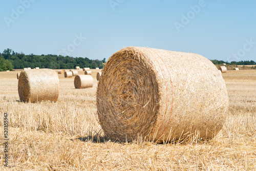 straw bales