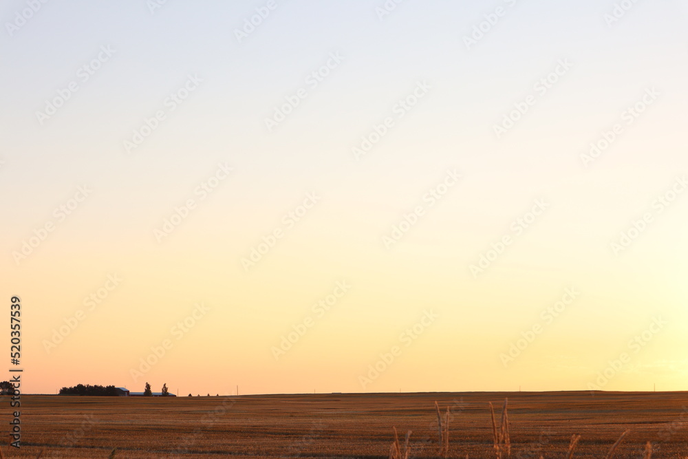 Fototapeta premium sunset over the field