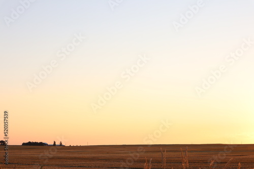 Fototapeta Naklejka Na Ścianę i Meble -  sunset over the field