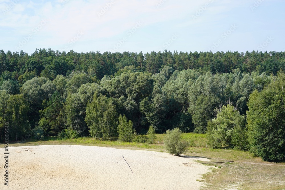 Das Naturschutzgebiet Sandgrube im Berliner Grunewald im Sommer bei Sonnenschein Das Naturschutzgebiet Sandgrube im Berliner Grunewald im Sommer bei Sonnenschein