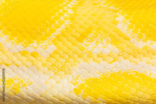 Yellow snake skin texture,Leather products. Yellow leather,Snake skin
