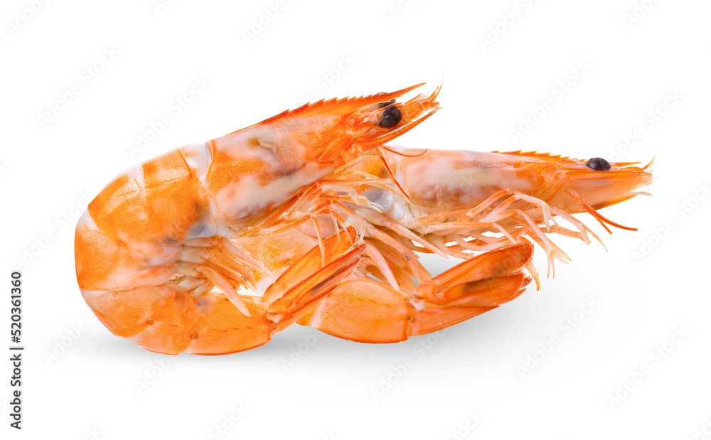 Cooked shrimps isolated on white Cooked shrimps isolated on white