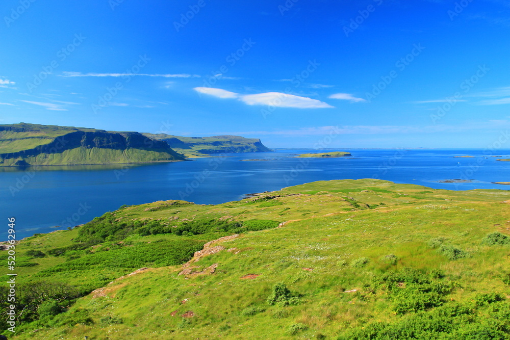 Green lush grass vegetation of the Isle of Mull, UK Green lush grass vegetation of the Isle of Mull, UK