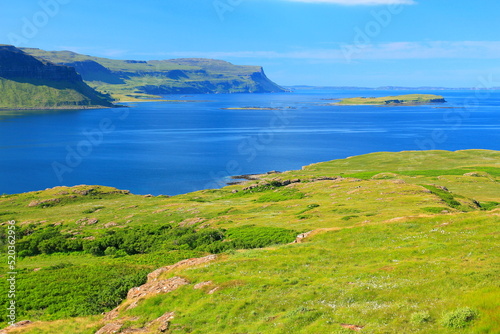 Green lush grass vegetation of the Isle of Mull, UK