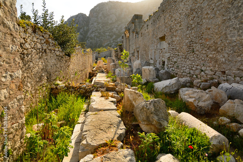 The ancient city of Olympos on the shores of the Mediterranean Sea, Turkey photo
