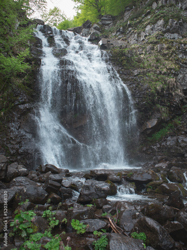Obraz premium Nature of the italian alps in spring