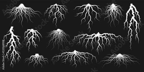 Various realistic tree or shrub roots. Parts of plant, root system with tree stump. Dendrology, study of woody plants. Sketch drawing. Vector illustration