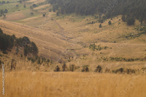 Quadro em tela mountain creak