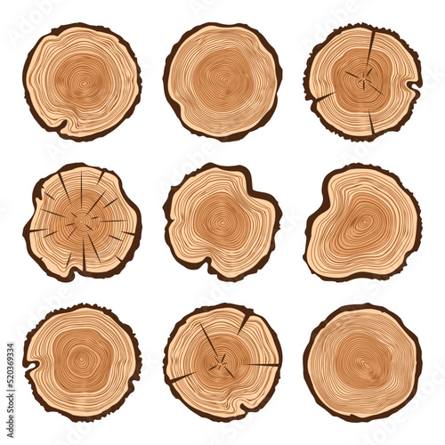 Round tree trunk cuts with cracks, sawn pine or oak slices, lumber. Saw cut timber, wood. Brown wooden texture with tree rings. Hand drawn sketch. Vector illustration