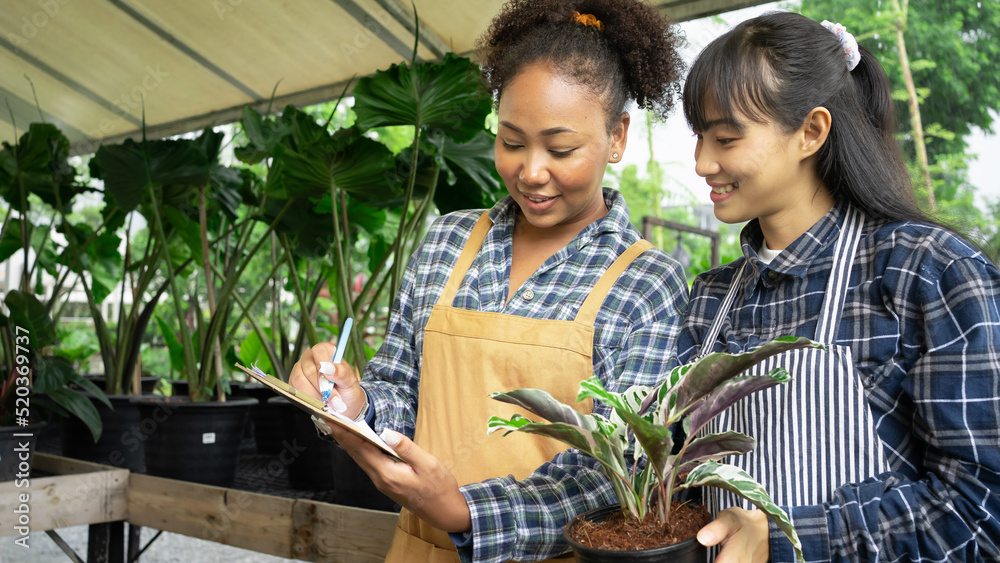Obraz premium Portrait of mixed-races beautiful women partner owner standing in own tree shop and smiling to camera. Asian and African American females business partners working garden store. Business concept.