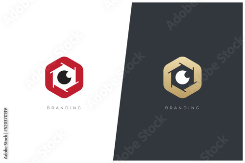 Hex Eye Capture Multimedia Production Vector Logo Concept