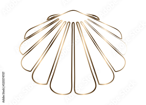 schimmernde Zeichnung einer Jakobsmuschel