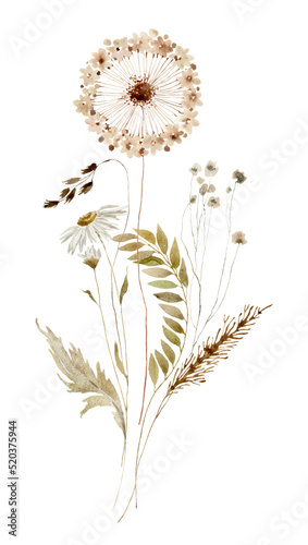 Wildflowers  herbs boho bouquet painted in watercolor. Dried pampas grass floral border  frame. Botanical boho elements isolated on white. Wedding invitation  greeting  card  print  scrapbooking