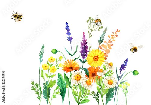 Watercolor wildflowers and bee bouquet. Rustic floral colorful blooming illustration isolated on white. Summer meadow, botanical bohemian wedding invitation, greeting, card, print