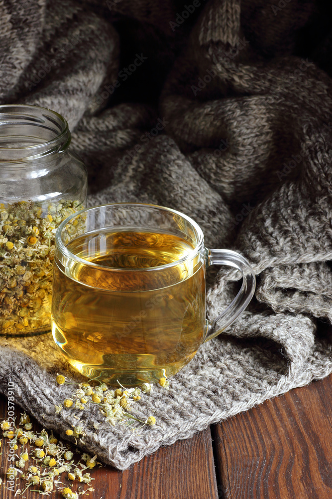 Fototapeta premium Camomile herbal dried tea in a glass cup with flowers and knitted woollen sweater on wooden rustic background, closeup, winter cold healing drink, natural medicine and naturopathy concept