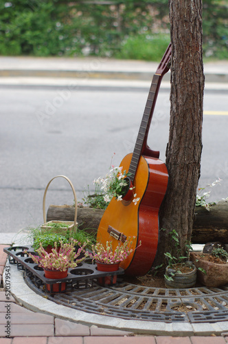 picnic in the garden with guitar