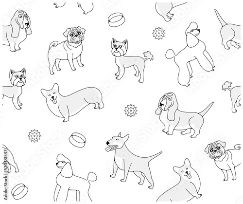Dog breeds, poodle, pug and yorkshire terrier, seamless vector background in outline. Animal, pets, basset hound, welsh corgi and miniature bull terrier, vector design